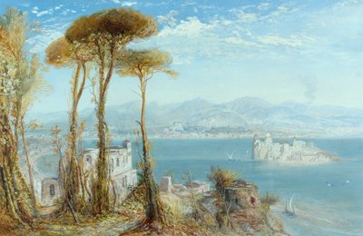 The Bay of Naples, 1876 by James Webb